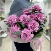 Букет из 9 пышных сиреневых роз Куинс Краун с зеленью